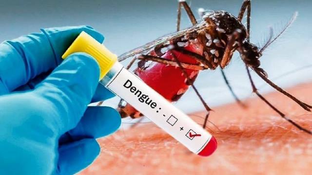 Fase-Fase Perjalanan Klinis DBD Yang Wajib Dipahami Untuk Meminimalisir Kematian