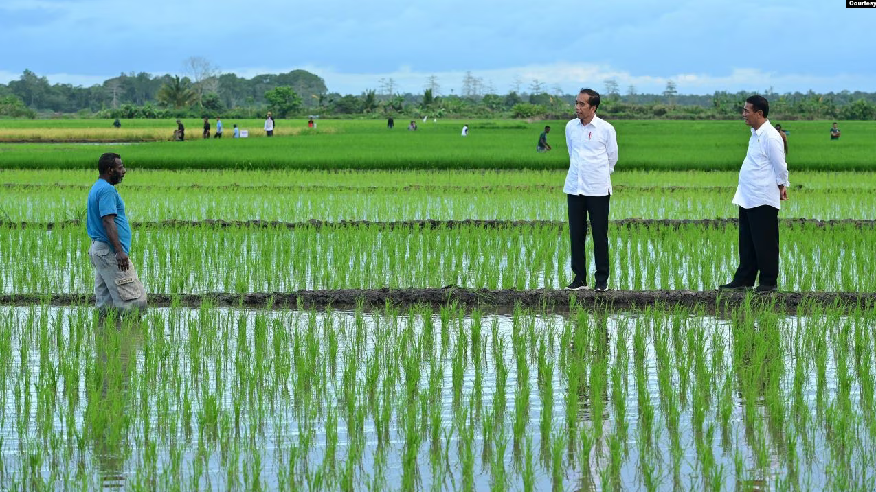 Proyek Satu Juta Hektar Sawah di Merauke: Langkah Strategis untuk Kesejahteraan Papua dan Ketahanan Pangan Nasional