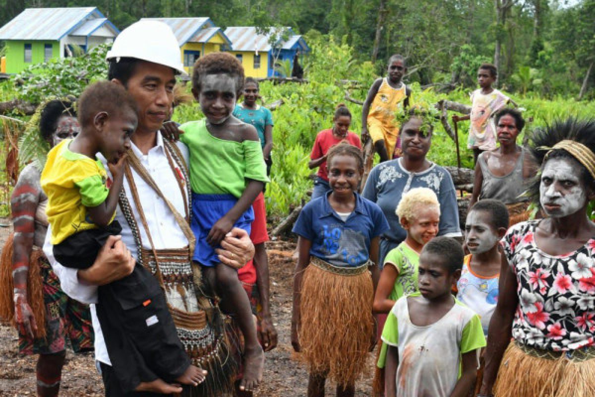 Papua, Bagian Tak Terpisahkan dari NKRI: Membangun Masa Depan Bersama