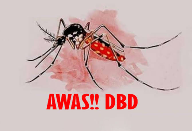 Pemprov DKI Jakarta Ajak Warga Cegah DBD