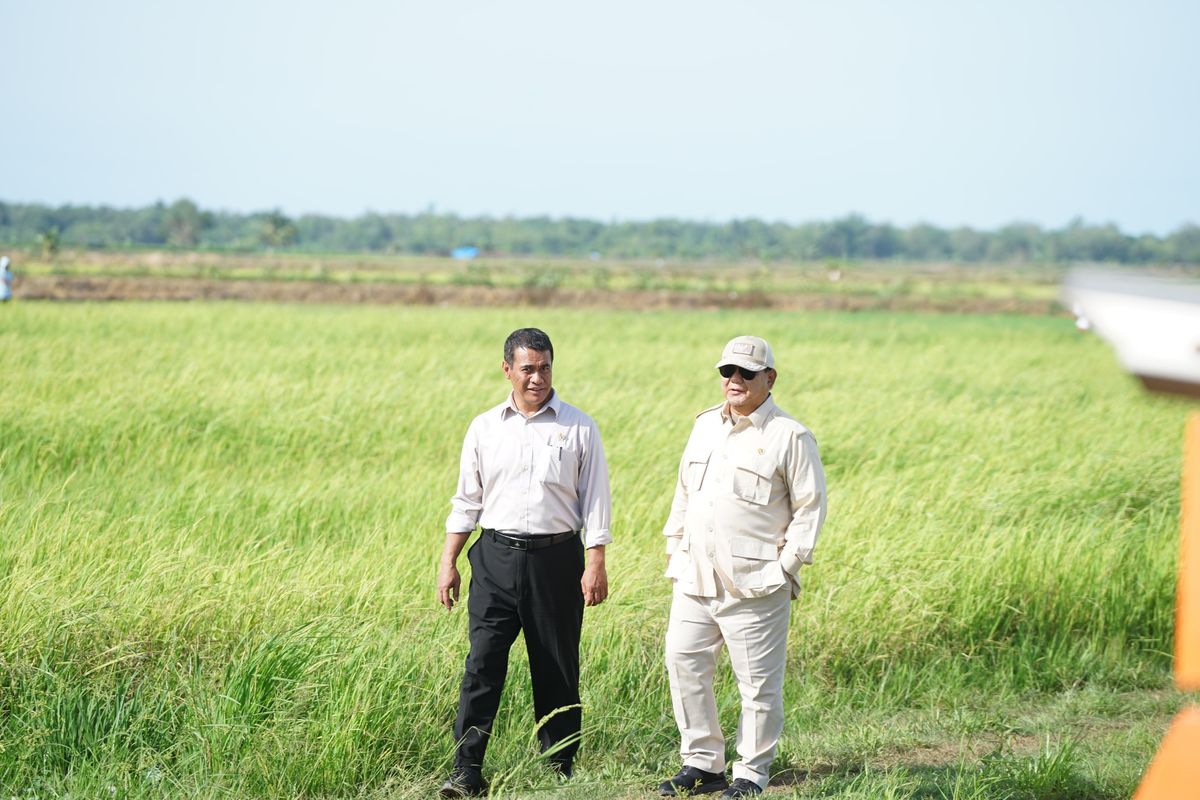 Presiden Prabowo Tinjau Proyek Strategis Nasional Lumbung Pangan di Merauke, Papua Selatan