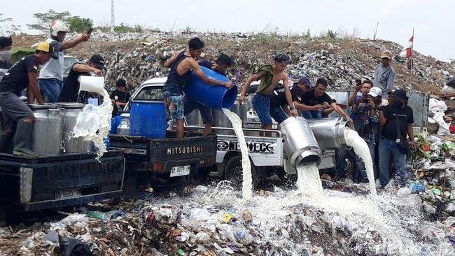 APSPI Desak Pemerintah Kendalikan Impor Susu Demi Lindungi Peternak Lokal