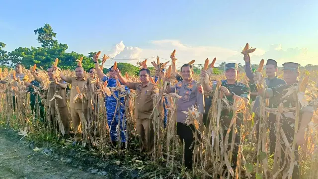 Pemerintah Dorong Hilirisasi Pembangunan di Papua untuk Tingkatkan Kesejahteraan Masyarakat Lokal
