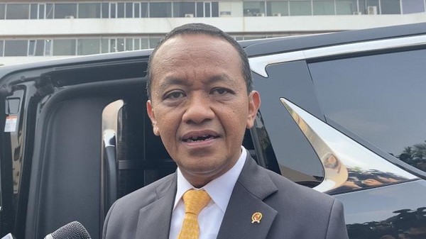 Pemerintah Targetkan Tambah Saham 10% di PT Freeport Indonesia Awal 2025