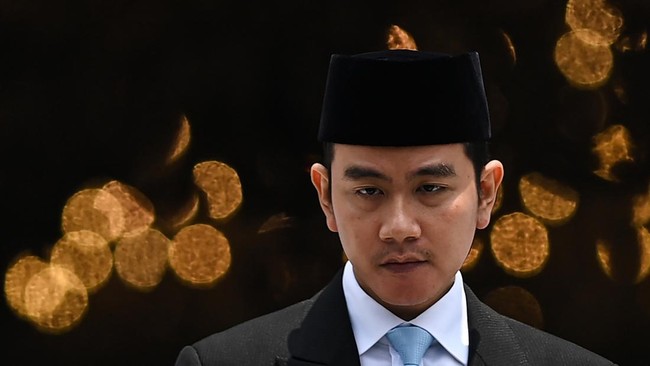 Tanggapan Istana Soal Dukungan Prabowo Di Pilkada : Tak Ada Aturan yang Larang Ketum Partai Endorse Calon