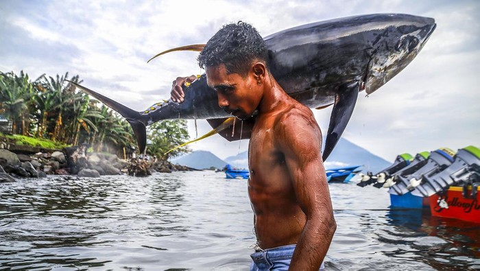 Budidaya Tuna di Indonesia: Turki Tanam Modal Rp 634 Miliar untuk Pengembangan