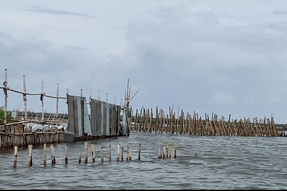 Kontroversi dan Fungsi Pagar Bambu di Laut Tangerang dan Bekasi