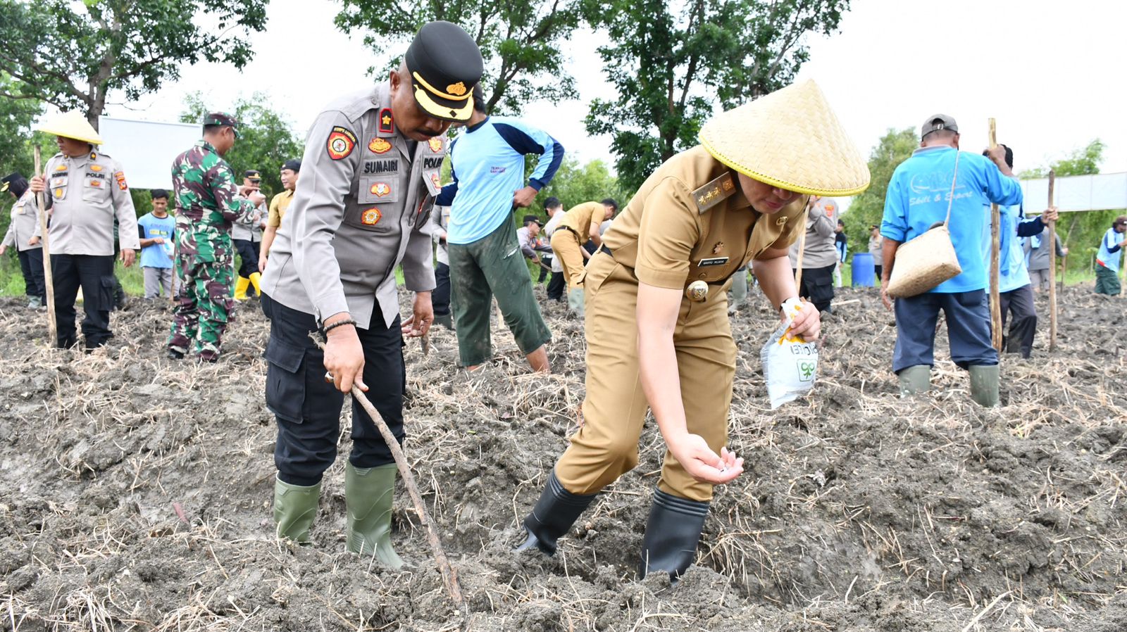 Penanaman Jagung Serentak 1 Juta Hektare, Pemkab Cirebon Dorong Swasembada Pangan