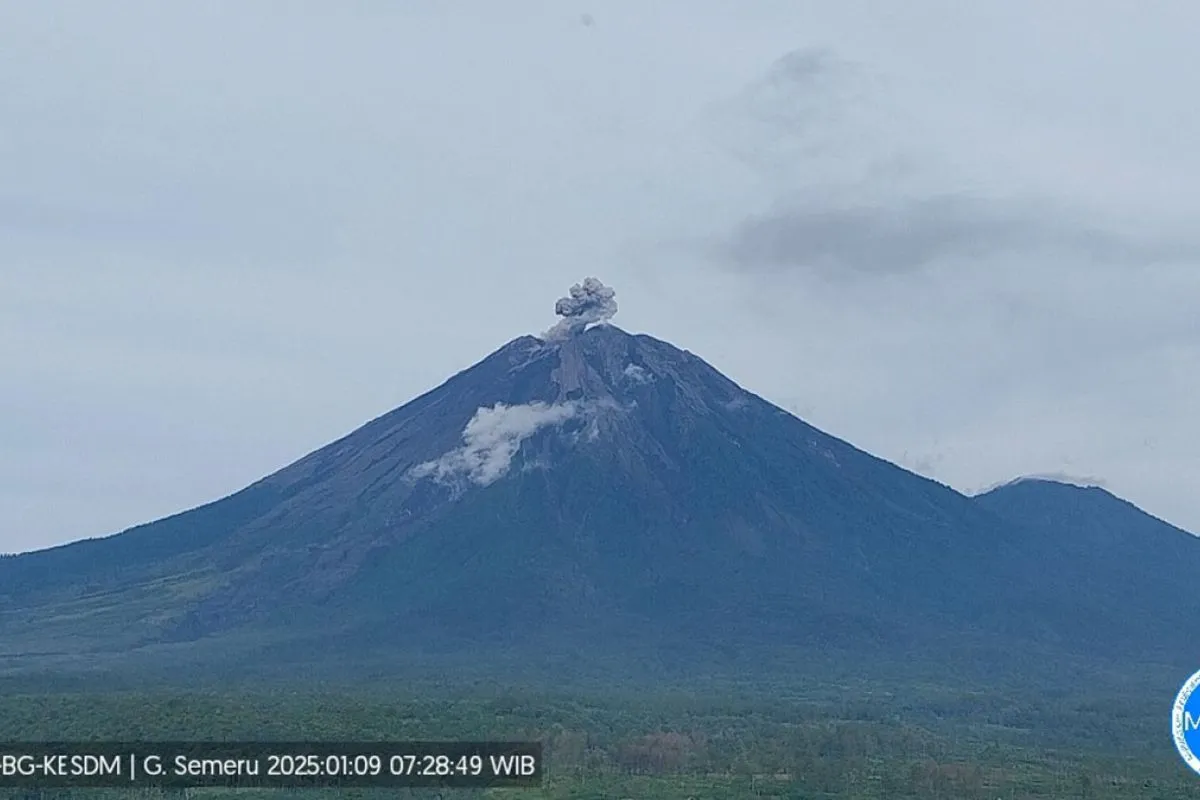 Gunung Semeru erupsi Kamis pagi, lontarkan abu setinggi 500 meter