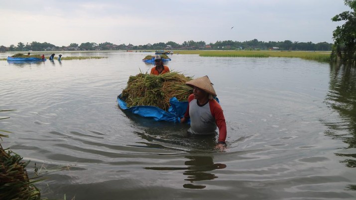 5 Banjir Besar yang Menerjang Indonesia Sepanjang Sejarah