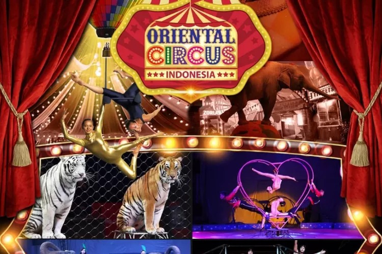 Eks Pegawai Oriental Circus Indonesia Laporkan Dugaan Eksploitasi, DPR dan Komnas HAM Siap Kawal Penyelidikan