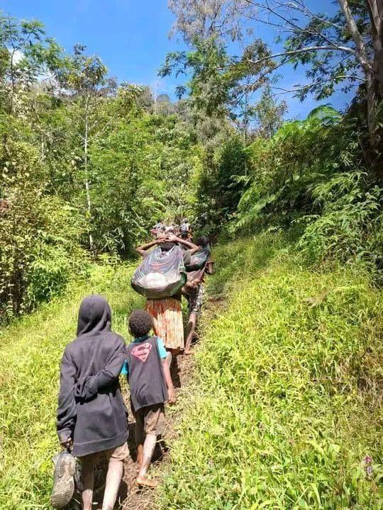 Presiden Diminta Bantu Hentikan Konflik Bersenjata Antara TNI dan OPM di Intan Jaya