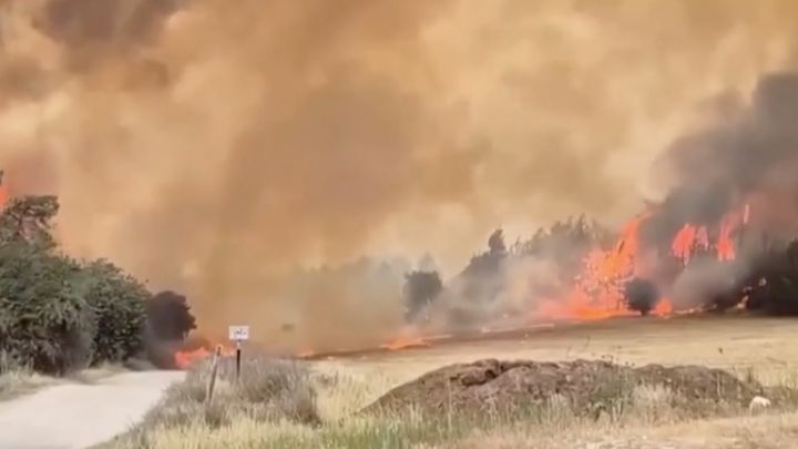 Kebakaran Besar di Israel: Jalur Utama Ditutup, Ribuan Warga Mengungsi