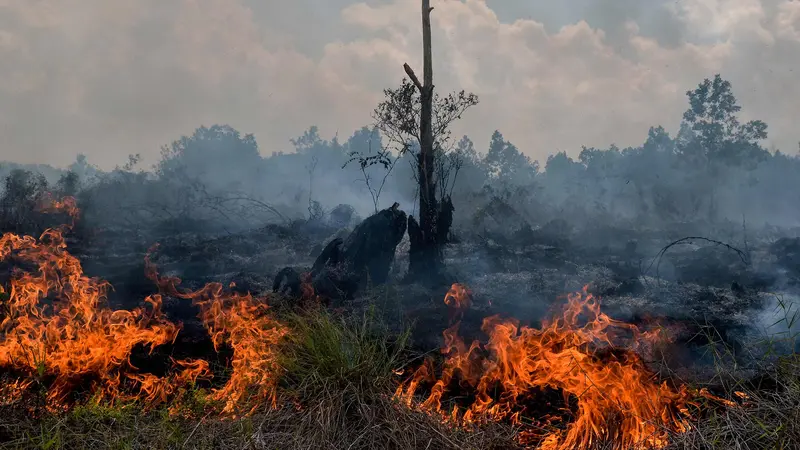 Sumatera Dikepung Karhutla, Ribuan Titik Panas Terdeteksi