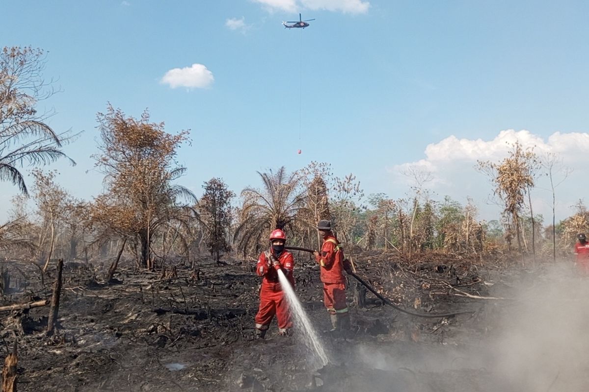 Tim Gabungan Kerahkan Darat dan Udara Padamkan Karhutla di Kampar