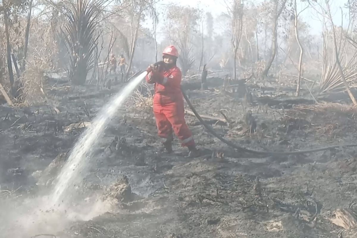 Masitoh: Srikandi Pembasmi Api di Gambut Riau