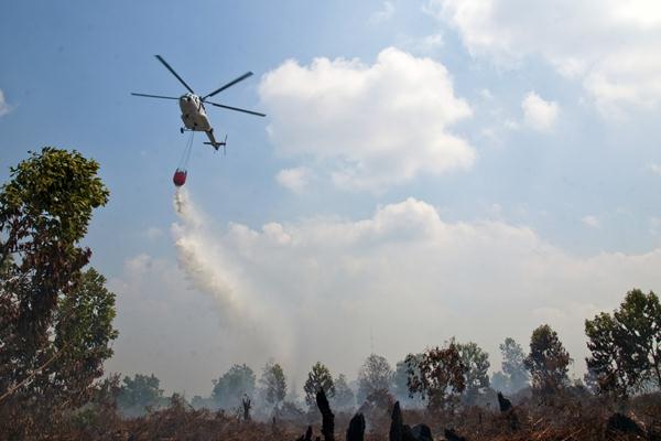 Karhutla Riau Membakar Ratusan Hektare Lahan, BPBD Riau Kerahkan Bantuan Helikopter