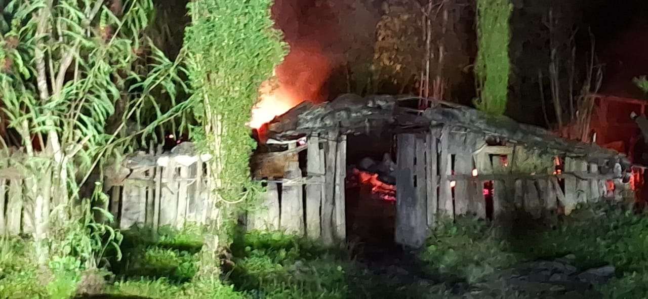 Pembakaran sejumlah honai dipicu warga hilang di Wamena