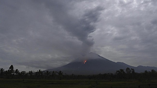 Gunung Semeru Erupsi, Kolom Abu Capai 700 Meter di Atas Puncak