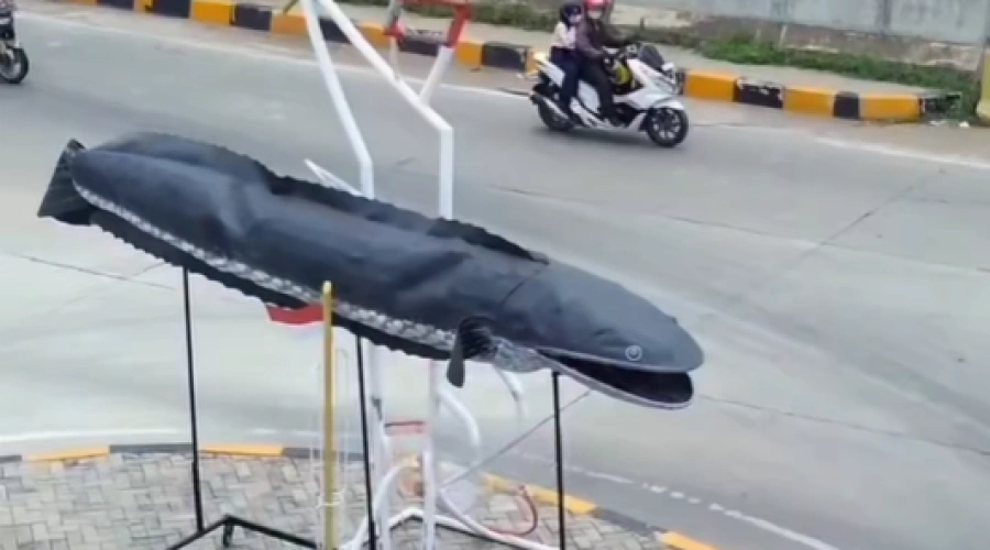 Viral Tentang Anggaran Tugu Ikan Gabus di Tambun Utara, Ini Penjelasannya