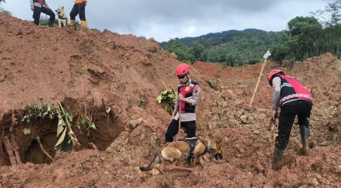 520 Personel Dikerahkan, Tim SAR Temukan 8 Jasad di Lokasi Longsor Cilacap