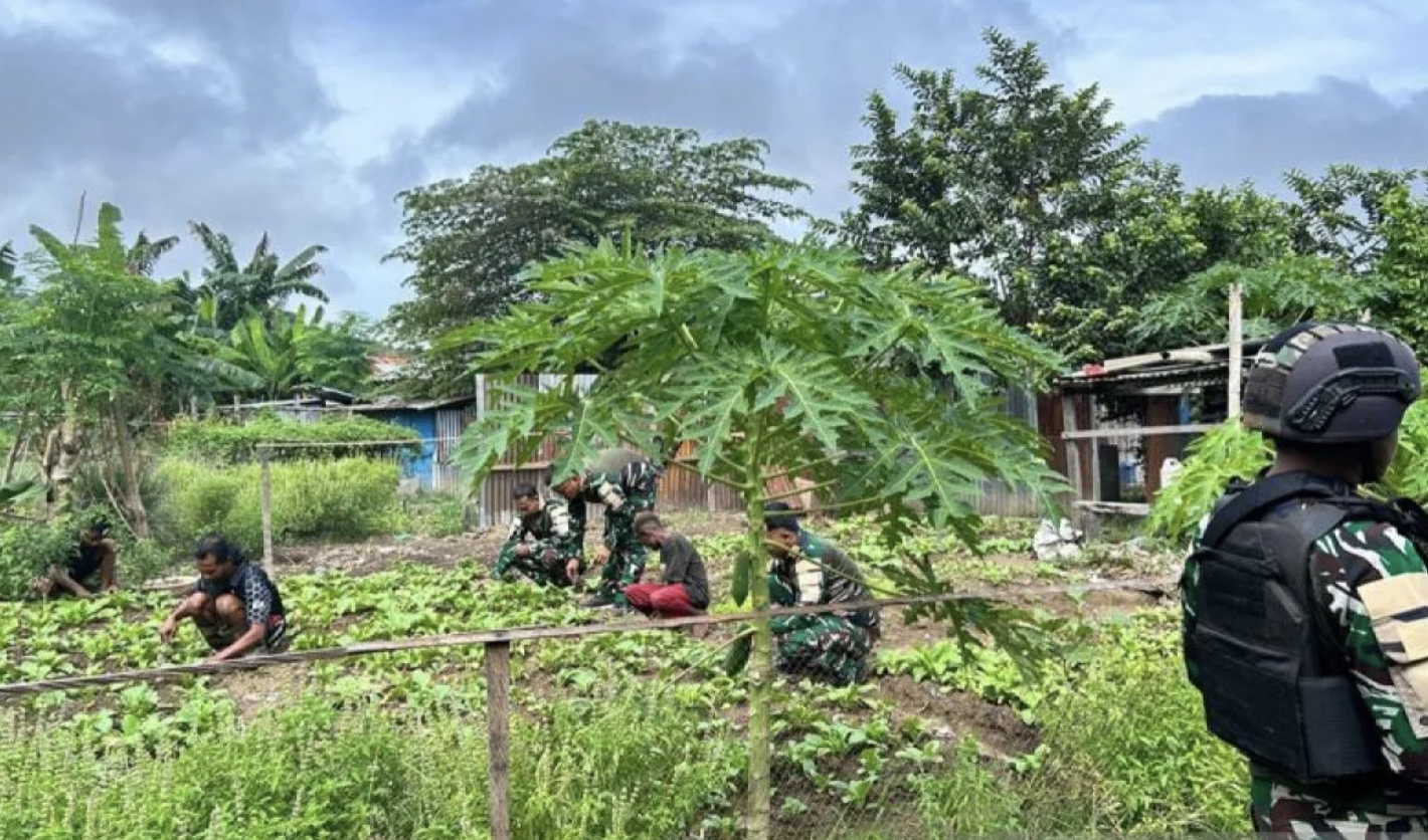 Satgas Pamtas Dorong Ketahanan Pangan OAP Lewat Pengembangan Lahan di Mamberamo Raya