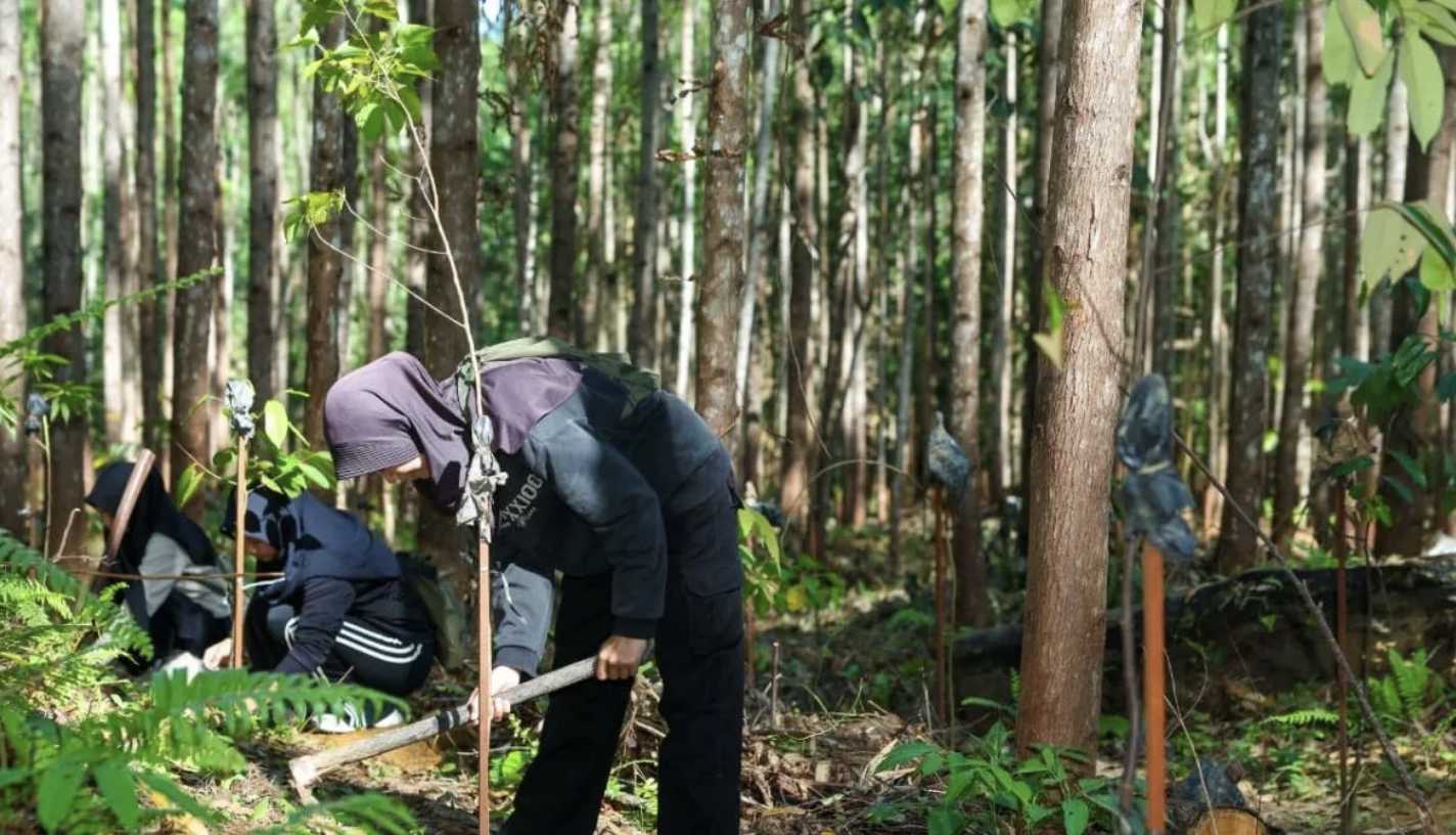 Otorita IKN Libatkan Masyarakat Tanam Pohon untuk Perkuat Konsep Kota Hutan