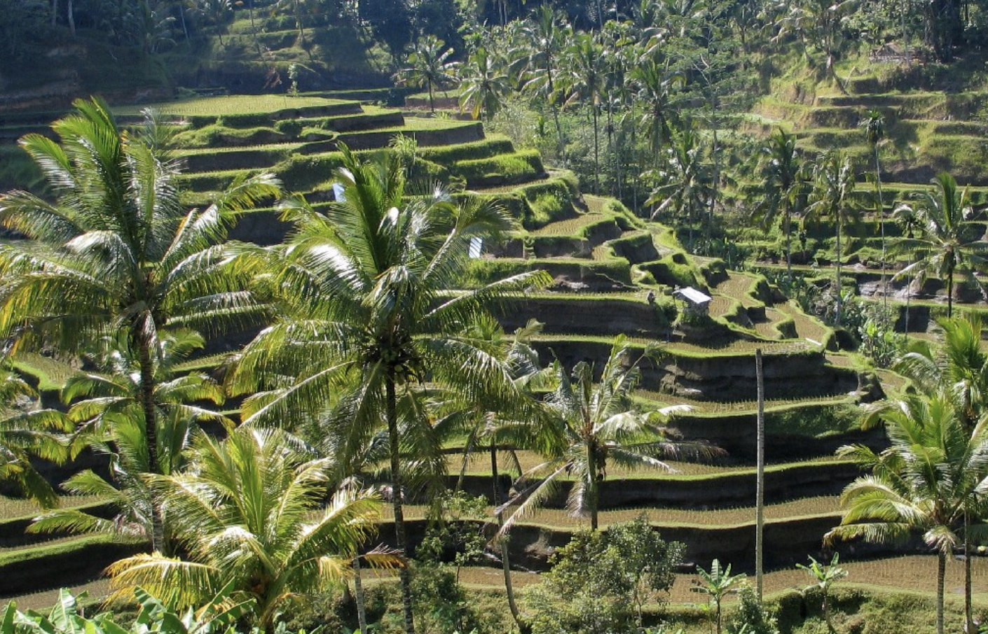 Indonesia Diakui Dunia sebagai Negara Aman dan Netral Jika Perang Global Terjadi