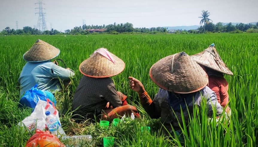Kadin: Pelemahan Rupiah Bisa Jadi Momentum Bangkitkan Pertanian Nasional
