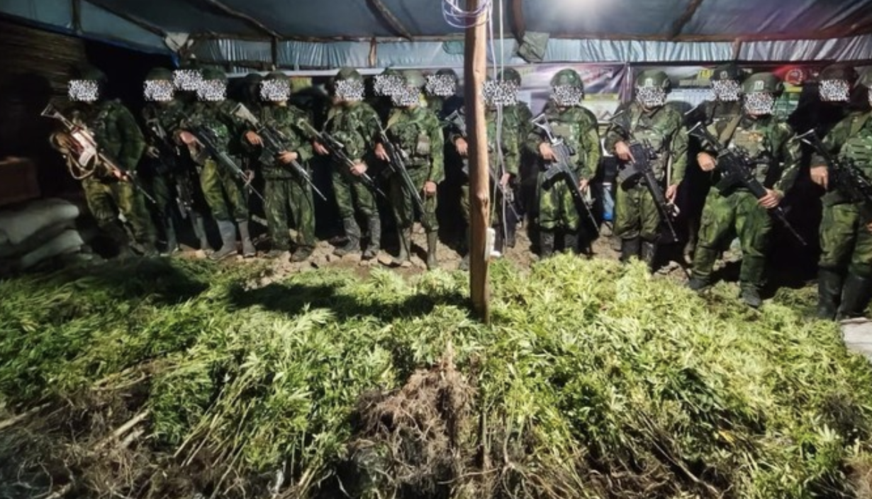 TNI Perkuat Pemberantasan Narkotika di Papua, Lindungi Generasi Muda dan Jaga Keamanan Wilayah