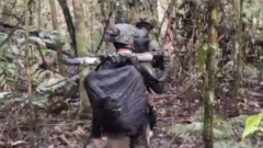 Koops TNI Habema Ungkap Kronologi Kontak Tembak di Nduga, Dua Orang Diduga Anggota OPM Tewas