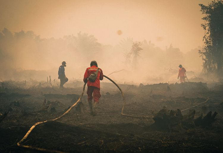 Pemerintah Tingkatkan Pemadaman Karhutla Tanjung Puting, Water Bombing Dilakukan 26 Kali