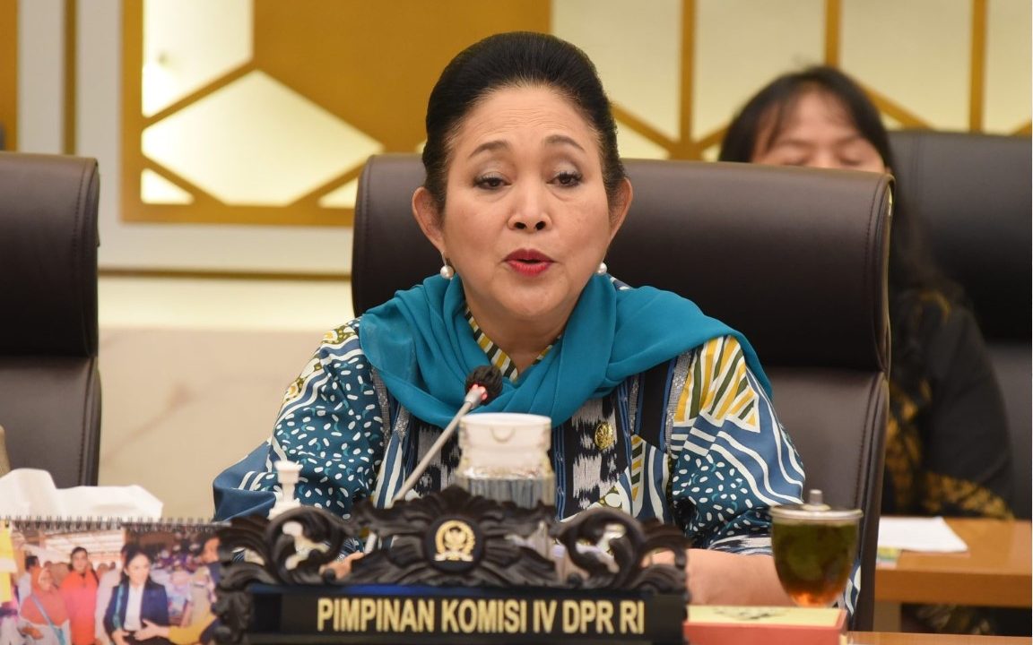 DPR RI Apresiasi Capaian Pengadaan Beras Bulog, Ketahanan Pangan Daerah Jadi Prioritas