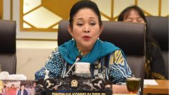 DPR RI Apresiasi Capaian Pengadaan Beras Bulog, Ketahanan Pangan Daerah Jadi Prioritas