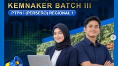 Pemerintah Perluas Kesempatan Kerja Generasi Muda, Kemnaker Resmi Buka Magang Nasional Batch 3