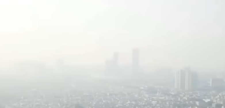 Asap Karhutla Berpotensi Masuk Jakarta, Warga Diminta Waspada